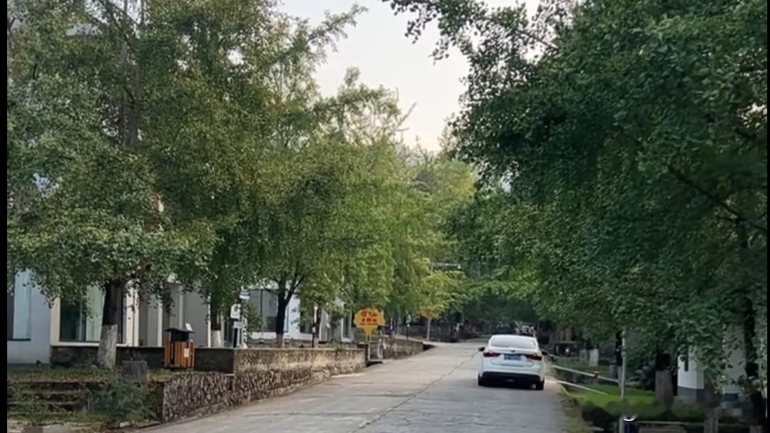 如何看待黄金价格大跳水 最近黄金价格就像坐了趟疯狂过山车，来了个大跳水，把市场搅