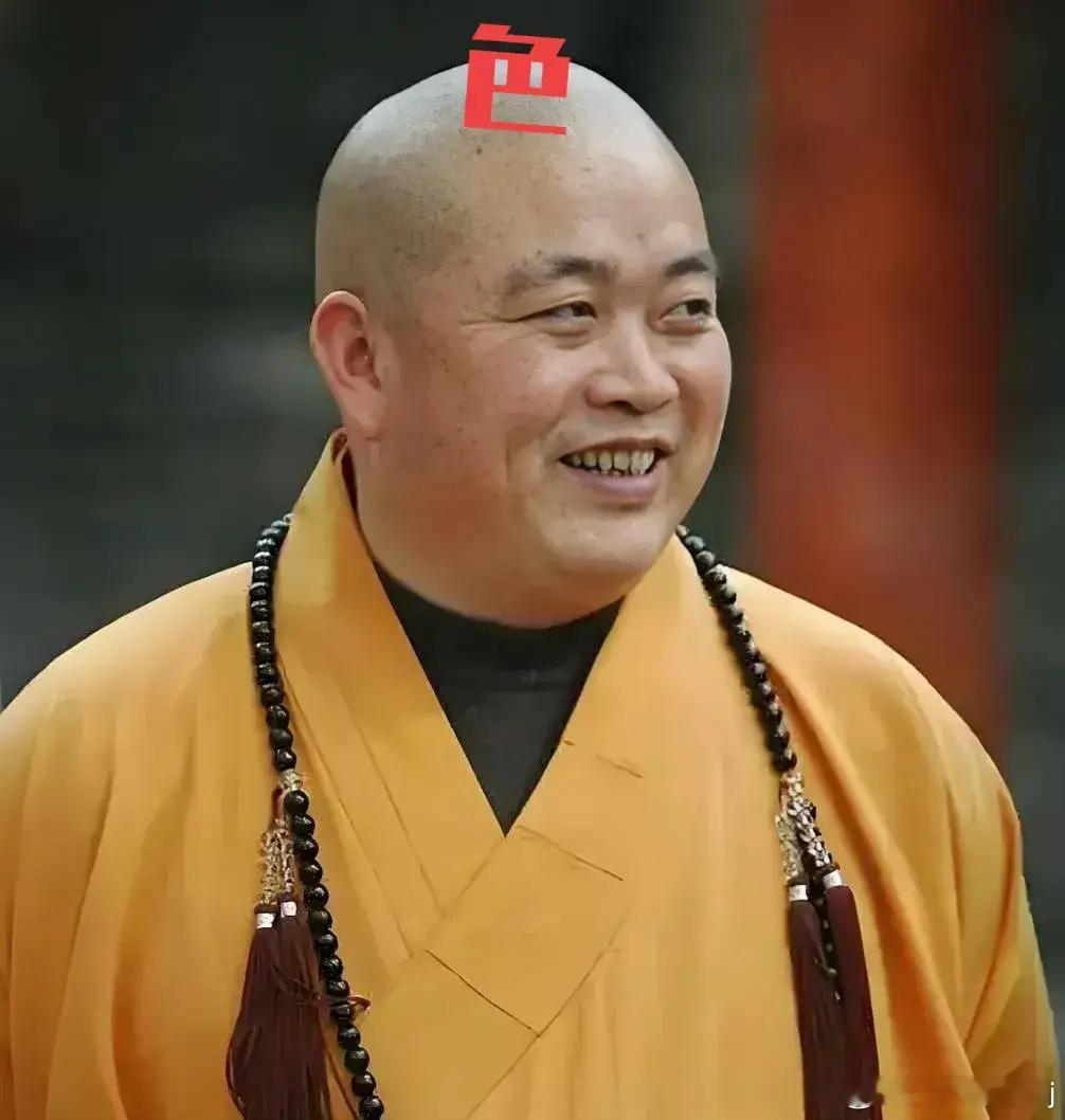 释永信 2015年，释永信被举报和尼姑释延洁有孩子，甚至传出尼姑为他割子宫来撇清