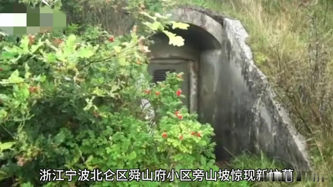 私自建坟于小区旁，违法违规该咋办？

评论：近日，宁波北仑区顺山府小区旁惊现新坟