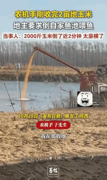“太豪横了!” 黑龙江，一名农机手刚帮农户收完2亩地玉米，农户转头就做了一个惊人
