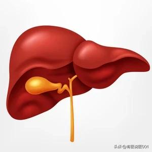 全球肝癌高发，中国占比近半！这3种食物，可能正在“攻击”你的肝脏

张大叔的遭遇