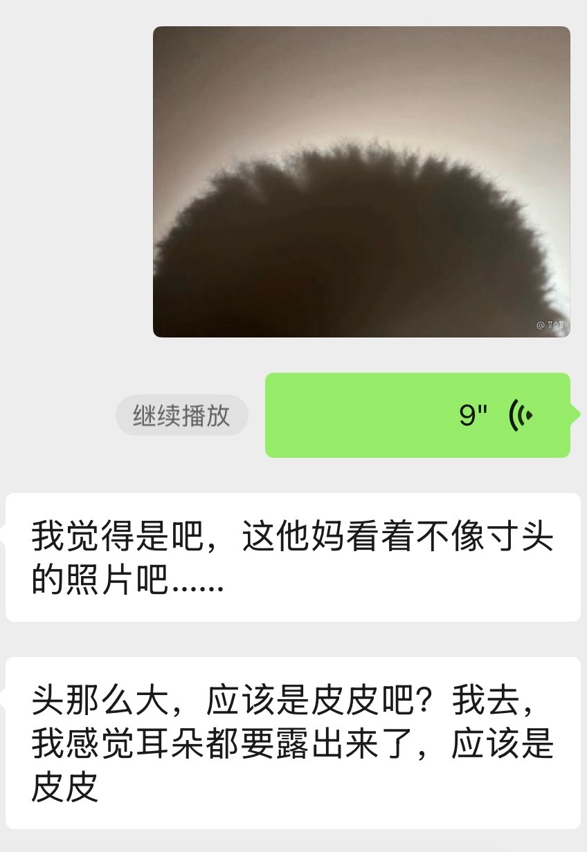 笑死我了 ​​​