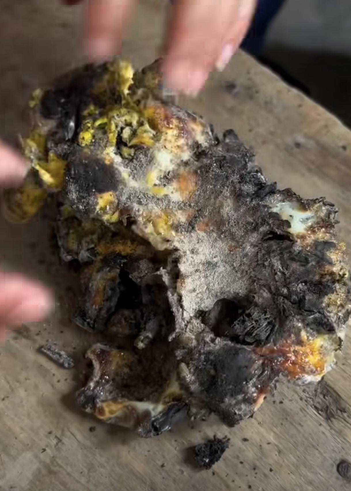 鸡蛋可以这么吃吗？
我的“CPU”都快烧干了，
网友：必须要木头烧出来的木炭草木