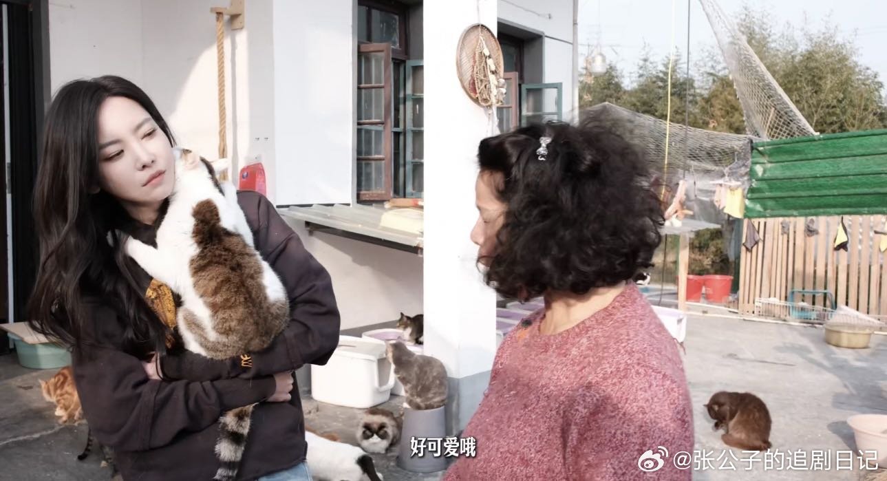 于文文呼吁领养代替购买于文文在线呼吁：别买啦来领养！流浪小动物也值得被爱，少一份