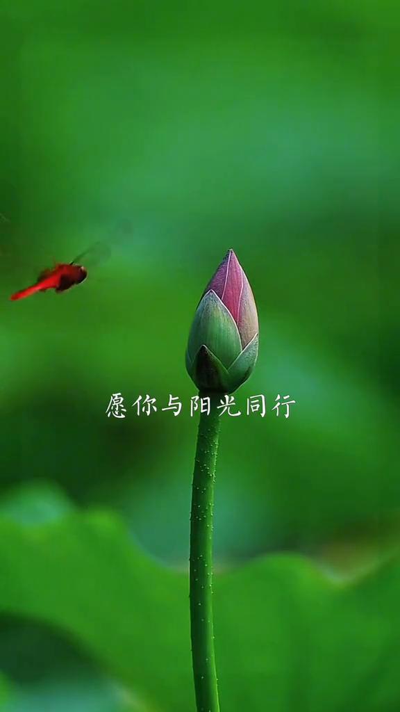 今天是农历六月初一，亦是半年节。一年过半，删除上半年的烦恼，开启下半年的快乐。六