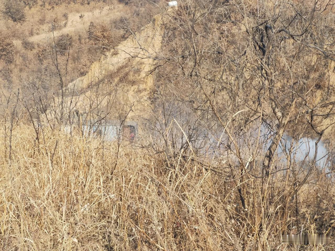 伐薪烧炭南山中！