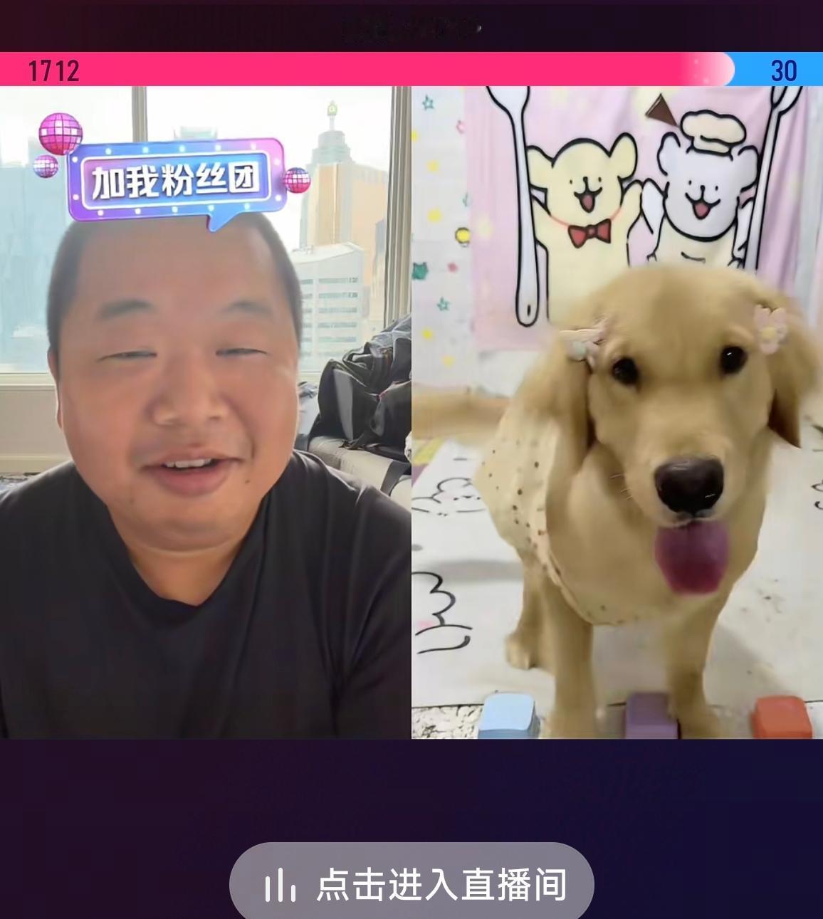 这个世界太疯狂了，狗都开始直播了[捂脸]
