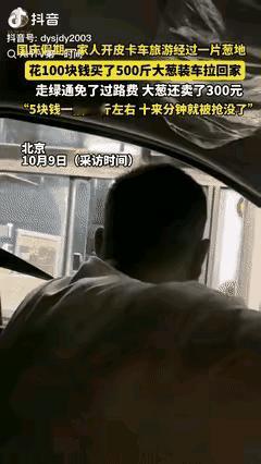 北京一男子开皮卡车带家人去承德游玩，途经一片葱地时，得知大葱仅2毛1斤，便花10