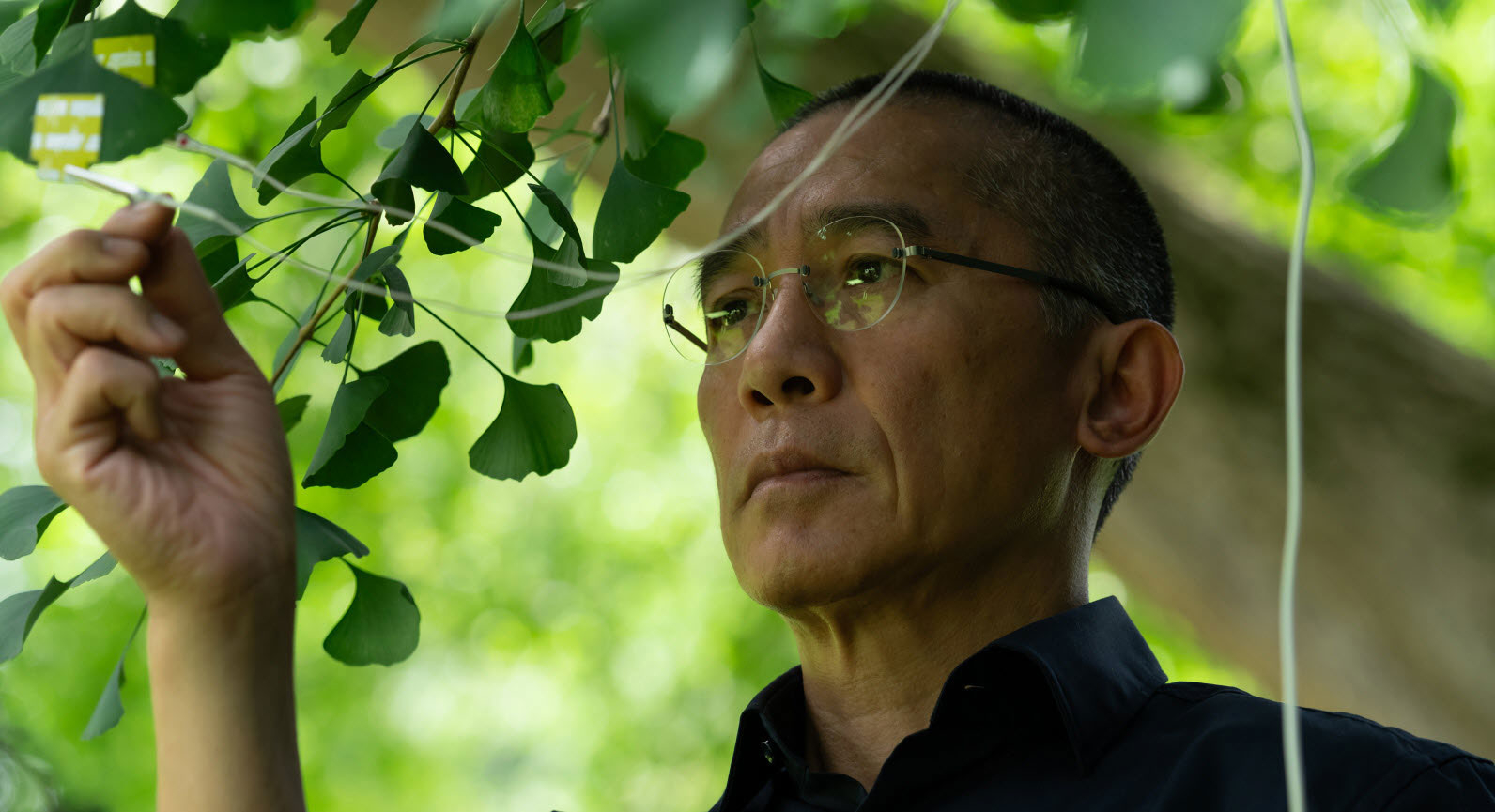 TNABO 梁朝伟接受《电影舞台》采访，畅谈《寂静的朋友》和职业生涯，透露与杜琪