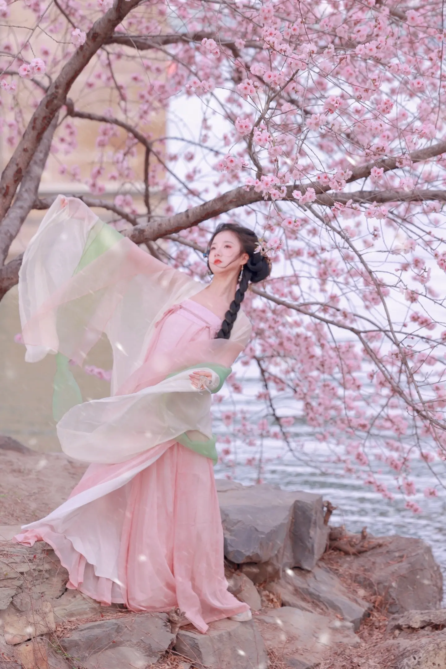 桃花树下桃花仙。