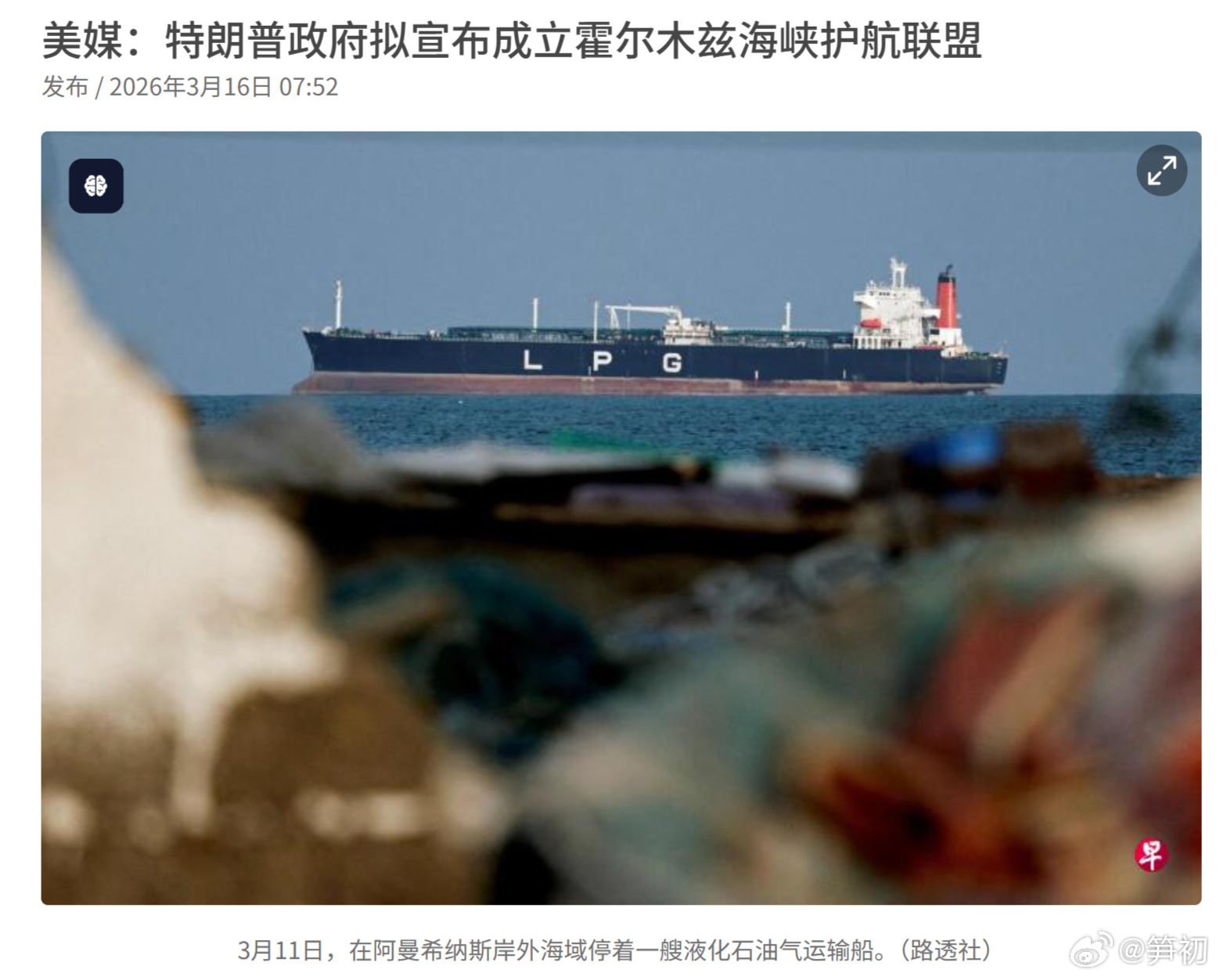 路透社：美国特朗普政府拟宣布成立霍尔木兹海峡护航联盟。已经正式表态不会派军舰护航