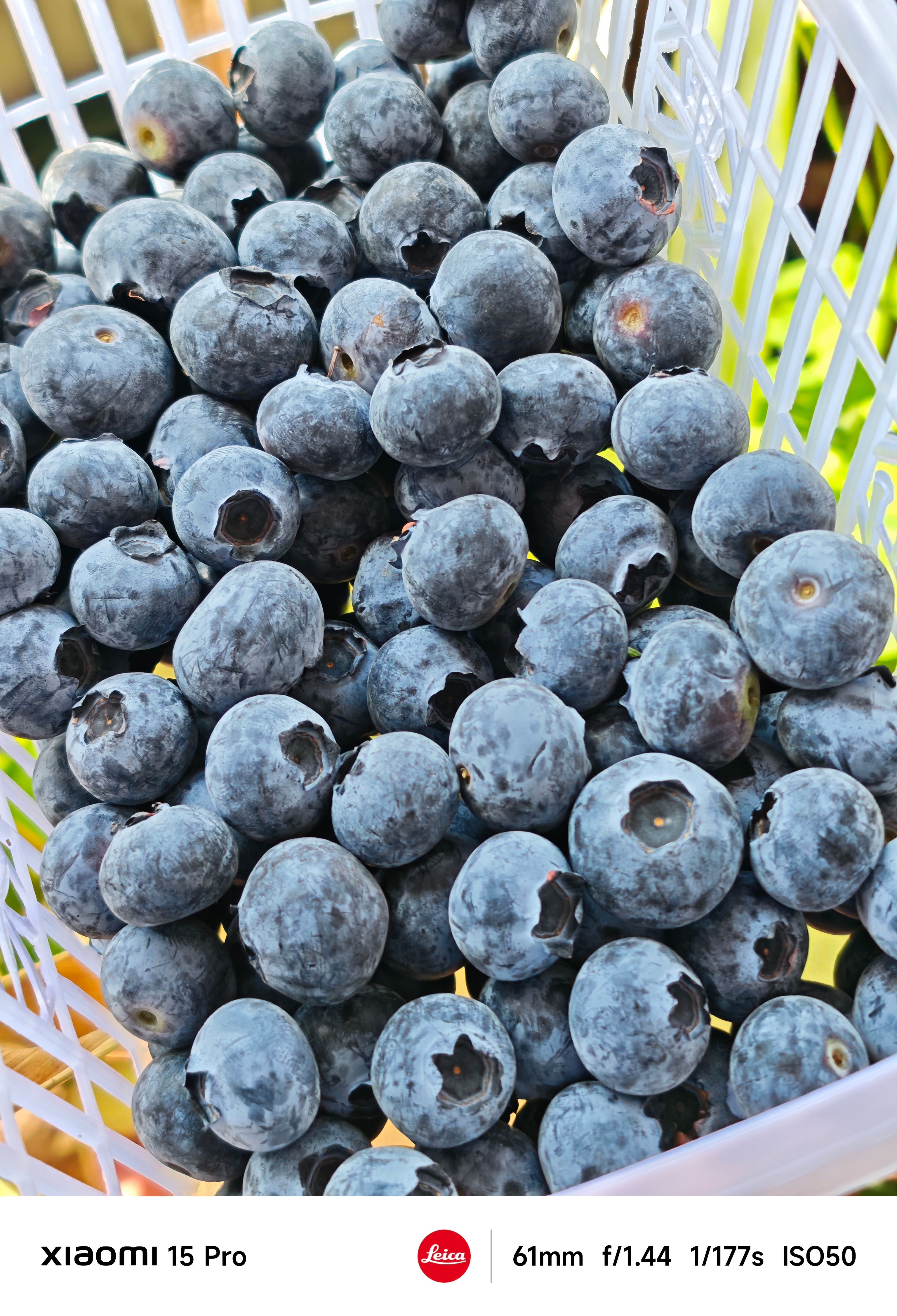 玩大富翁第一条，输了你得认！买定离手，不认不行，这个市场是相对最公平的！而且账户