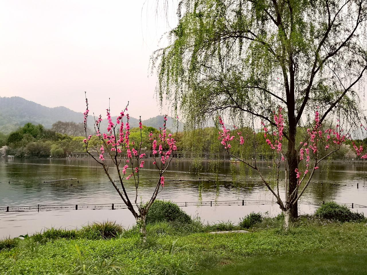 七律·惊蛰
东风新作江南客，
细雨兼程自弄潮。
蛰户初开虫语动，
芳林渐绿鸟声娇