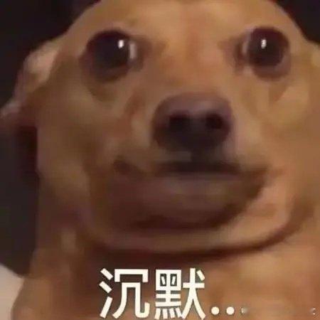 赵露思的粉丝在这吵吵什么呀？ ​​​