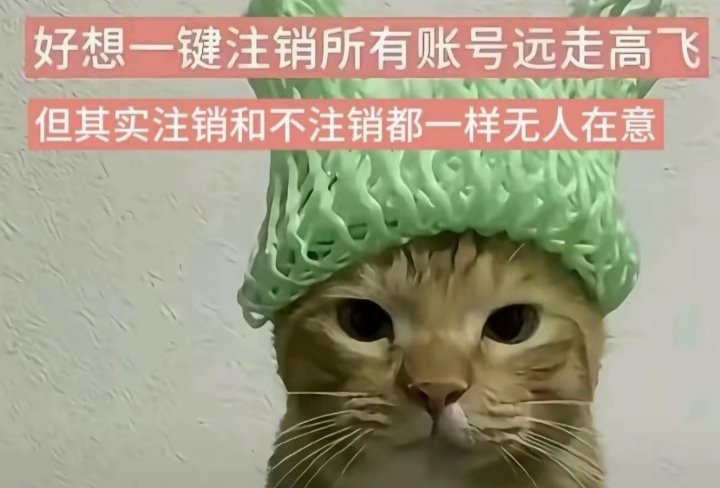 闭麦，有事置顶找，不爽就骂她