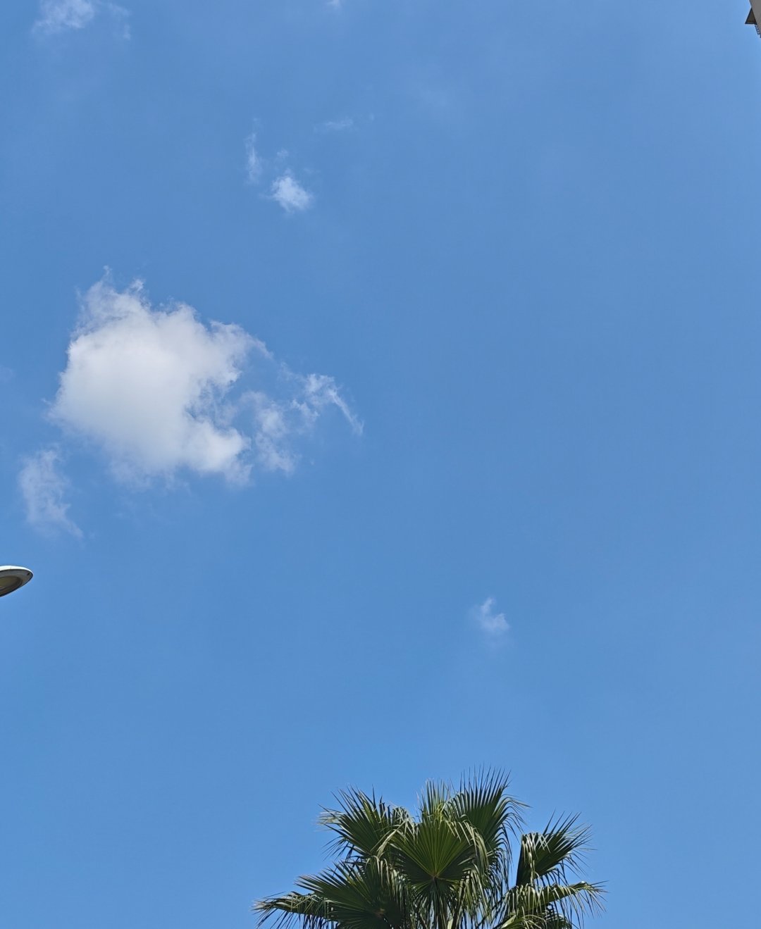 每个人都是，生在一个地方又去别的地方生活，一辈子都在挣扎，不是为了回到故乡，就是