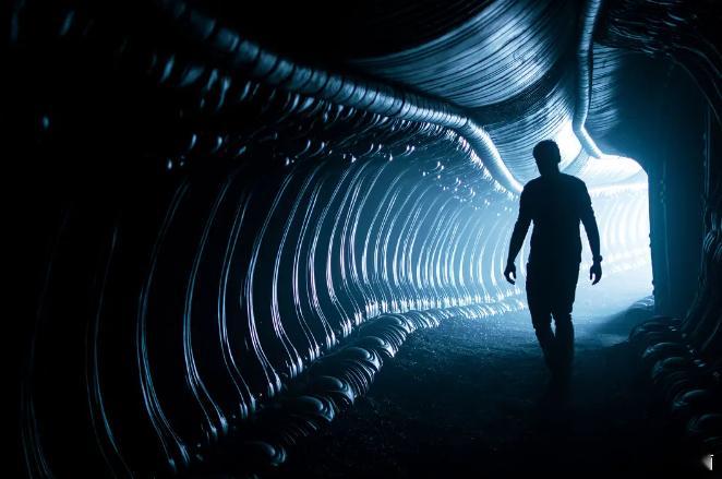 #周一没有不疯的打工人# 早！ ​​​