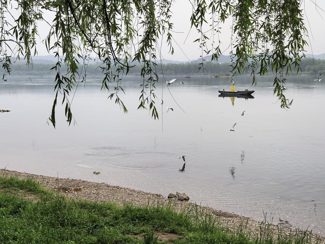 圣人是经过数十年的勤苦修养，才悟道见性，成为圣人的。在这数十年的清静修养中，圣人