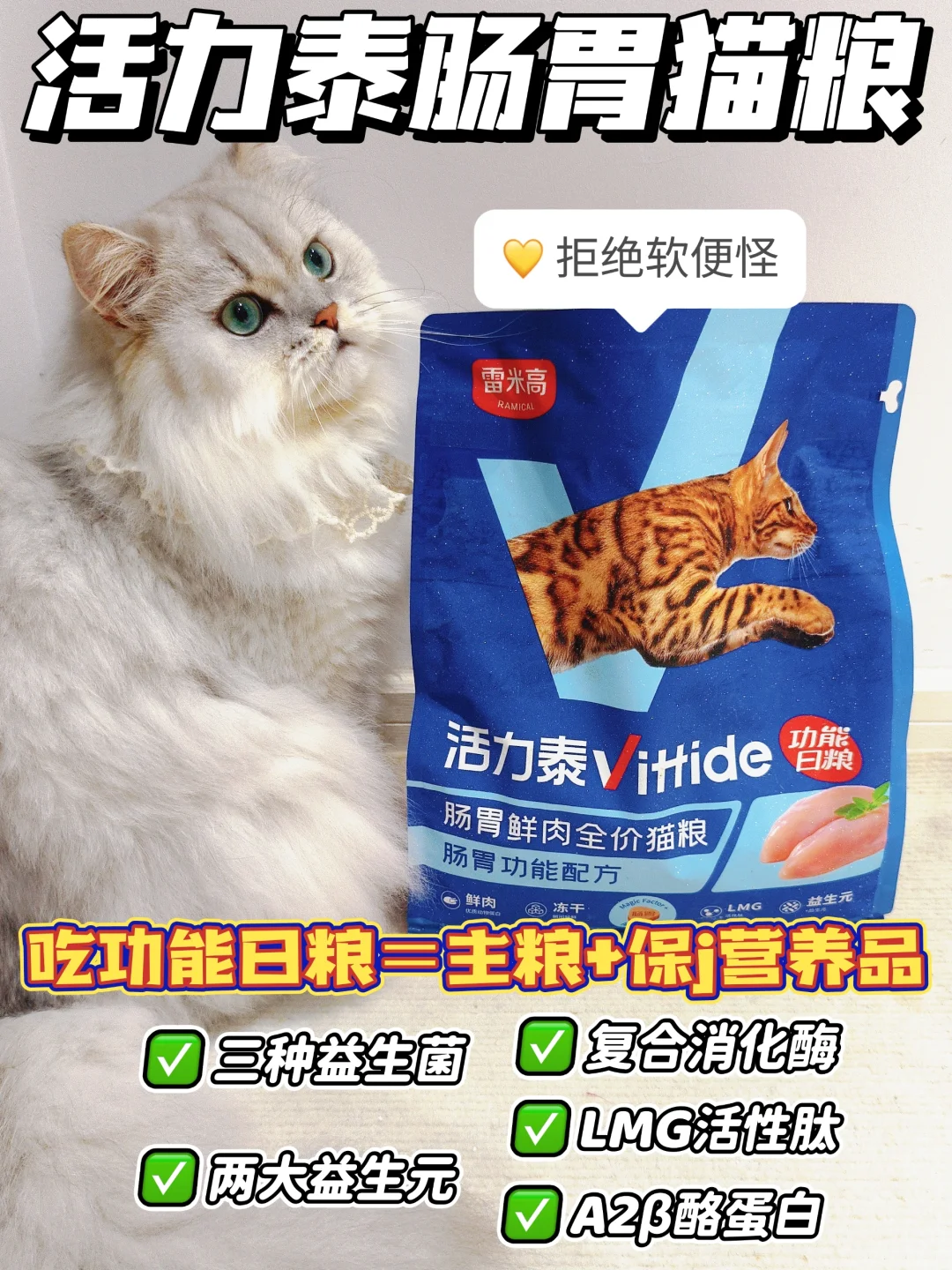 养猪咪计划 听我的包长肉