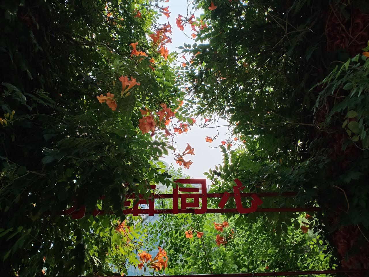 在聊城，要是想找清净的地方待着，去哪里？

徒骇河湿地公园人少清净，岸边步道平整