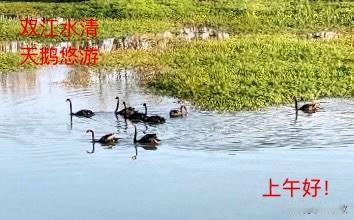 分享一张最近随手拍的照片