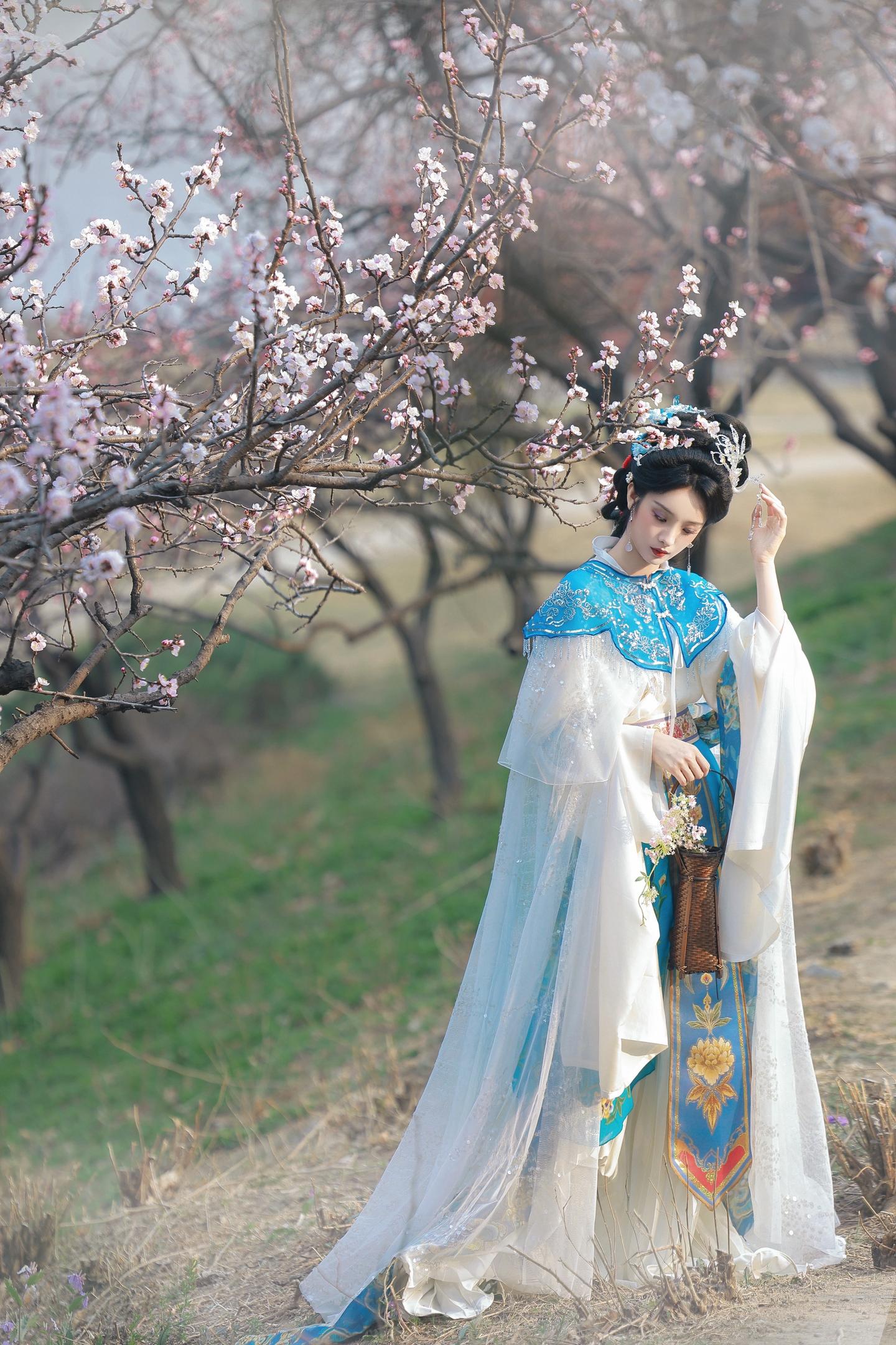 春日游，杏花吹满头。摄/后：我
