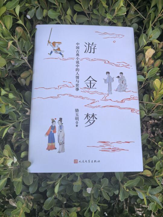 《游金梦》：骆玉明带你换个角度看名著