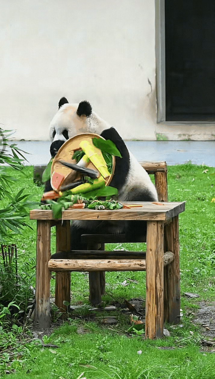 渝爱掀个盘子有什么了不起，就算她把整个虫洞拆了我也坚决支持！没办法，自己的女儿除