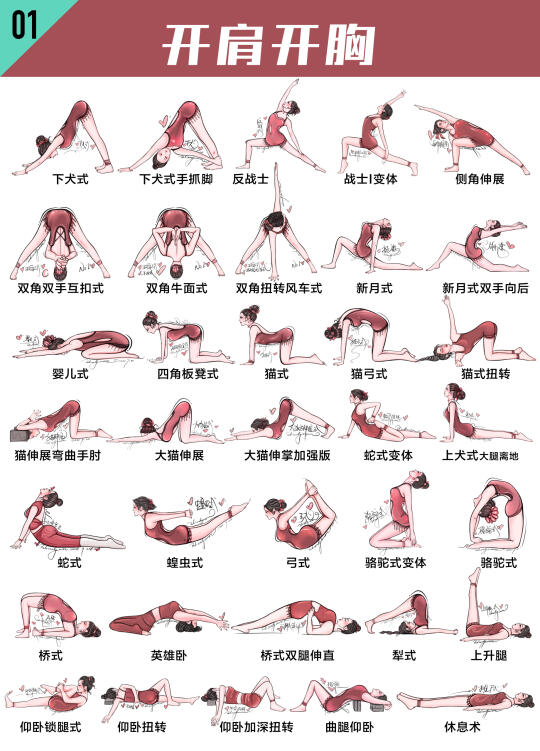 瑜伽体式｜开肩美背-告别虎背熊腰