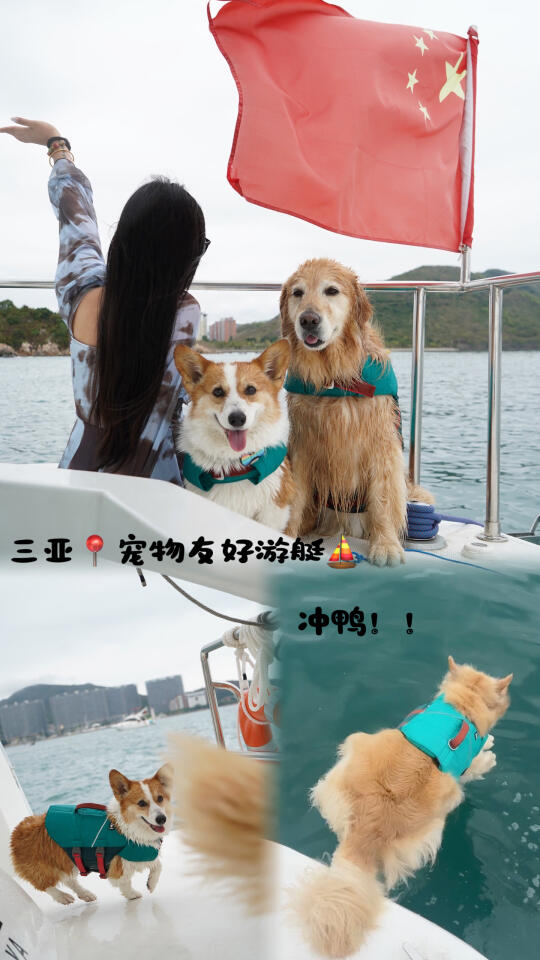狗生新体验游艇出海泰酷啦！！三亚还是太全面