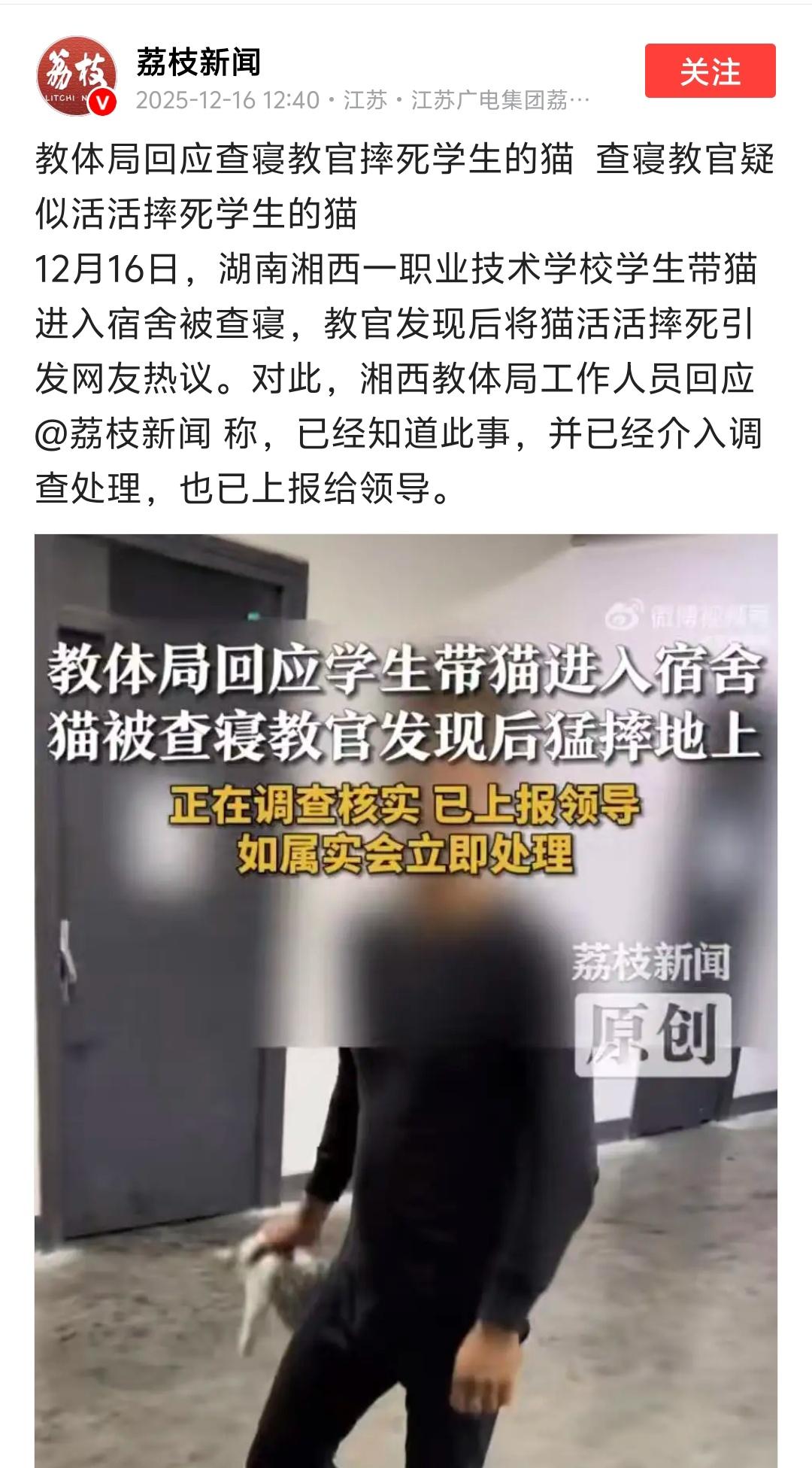 先各打五十大板
公说公有理，婆说婆有理
所有的恩怨情仇最终让一只无辜的猫承担了