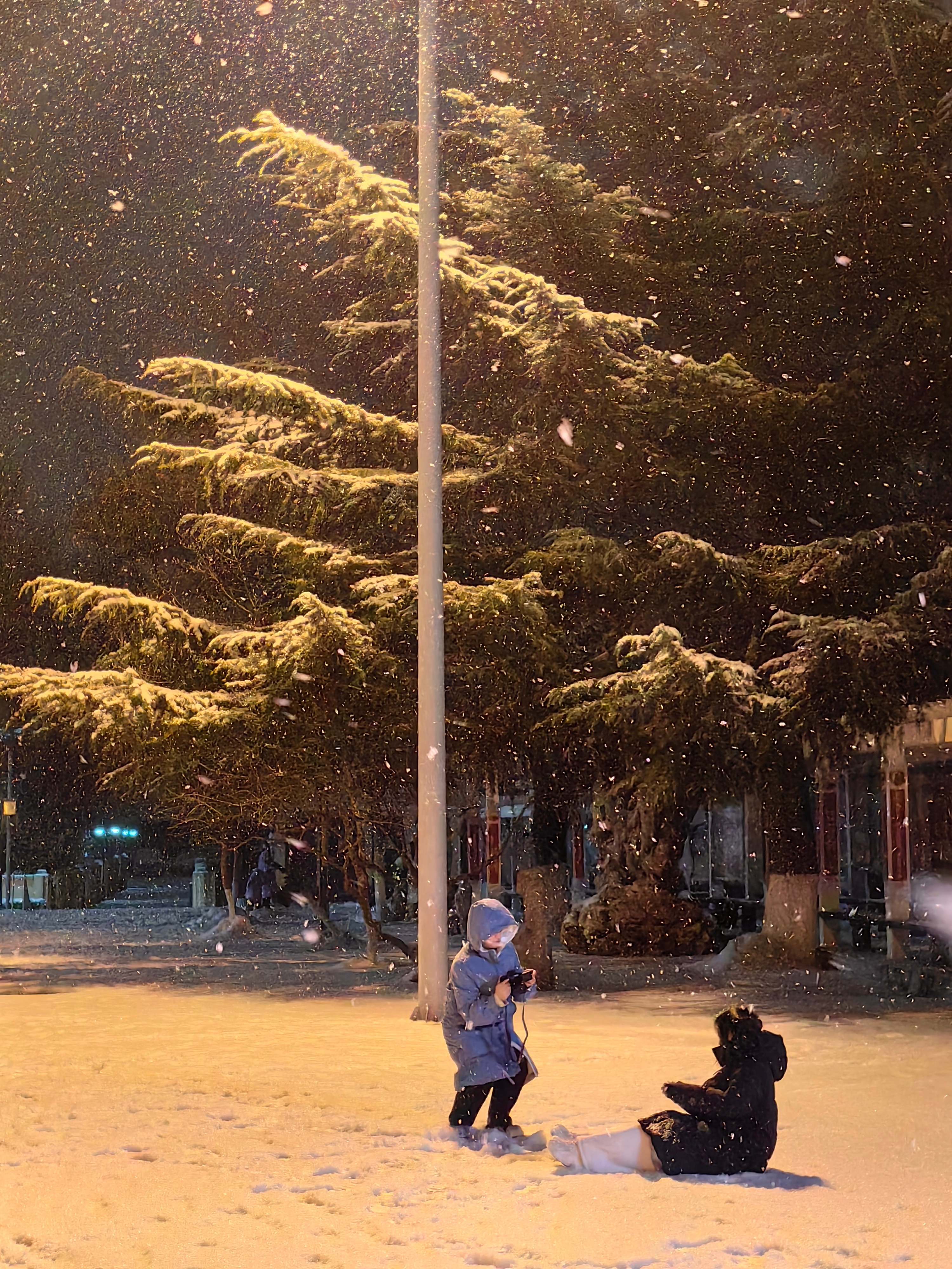 北京四九下雪啦🌨🌨🌨随手拍北京下雪