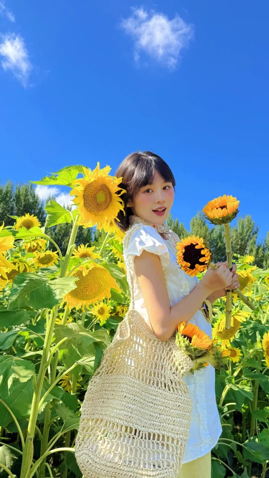 长春早秋顶流🤳向日葵花海📷🌻(附拍照攻略)