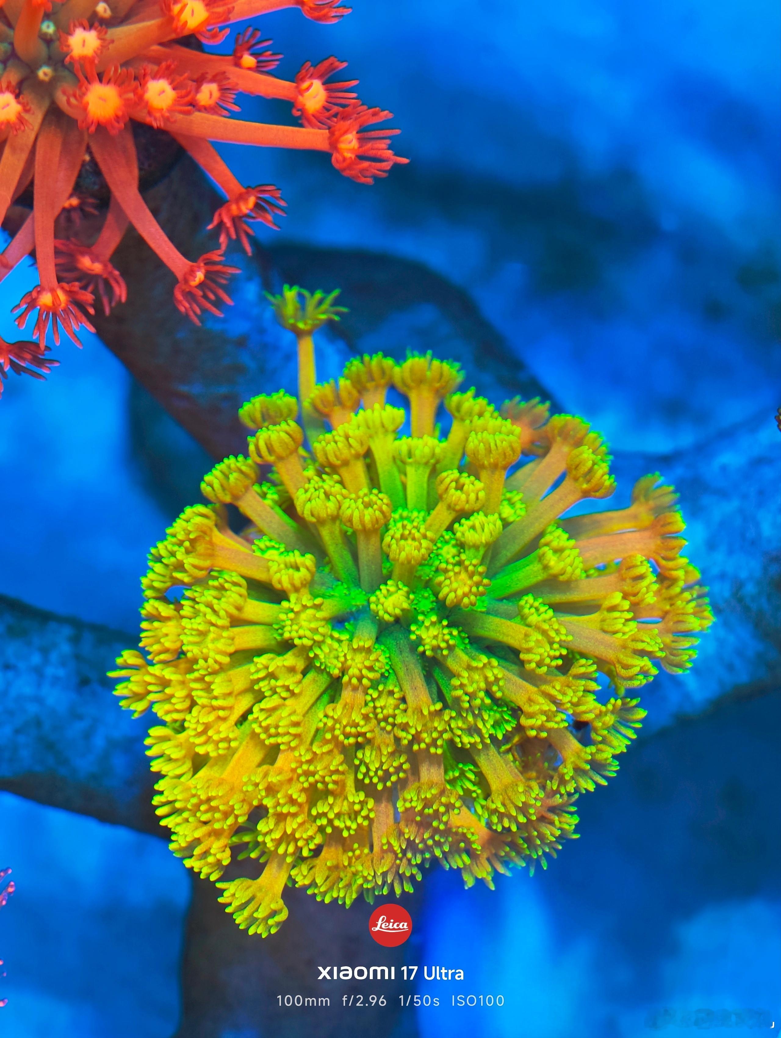 中年男人开始沉迷养花正常吗？