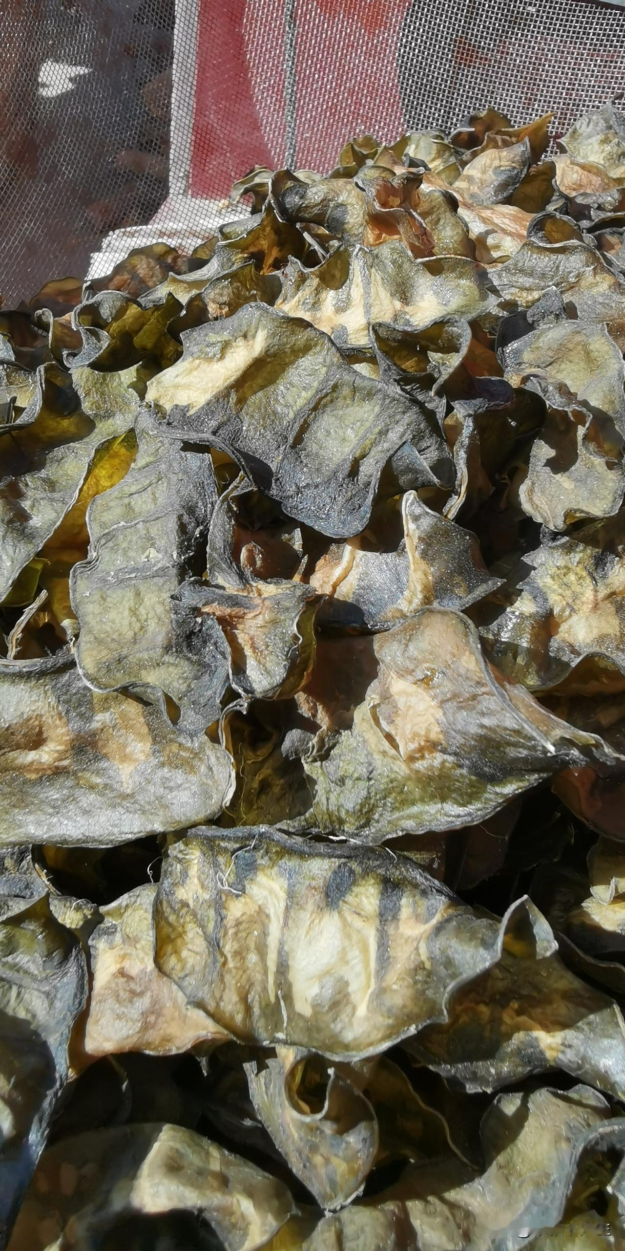 这是什么皮？农村人喜欢吃的干菜之一，比豇豆好熟，味道正。
     山东人都知道