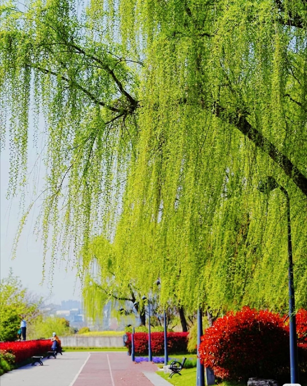 我的清明假期belike清明小长假就这么过啦，没往人多的地方挤，在家歇一歇，出门