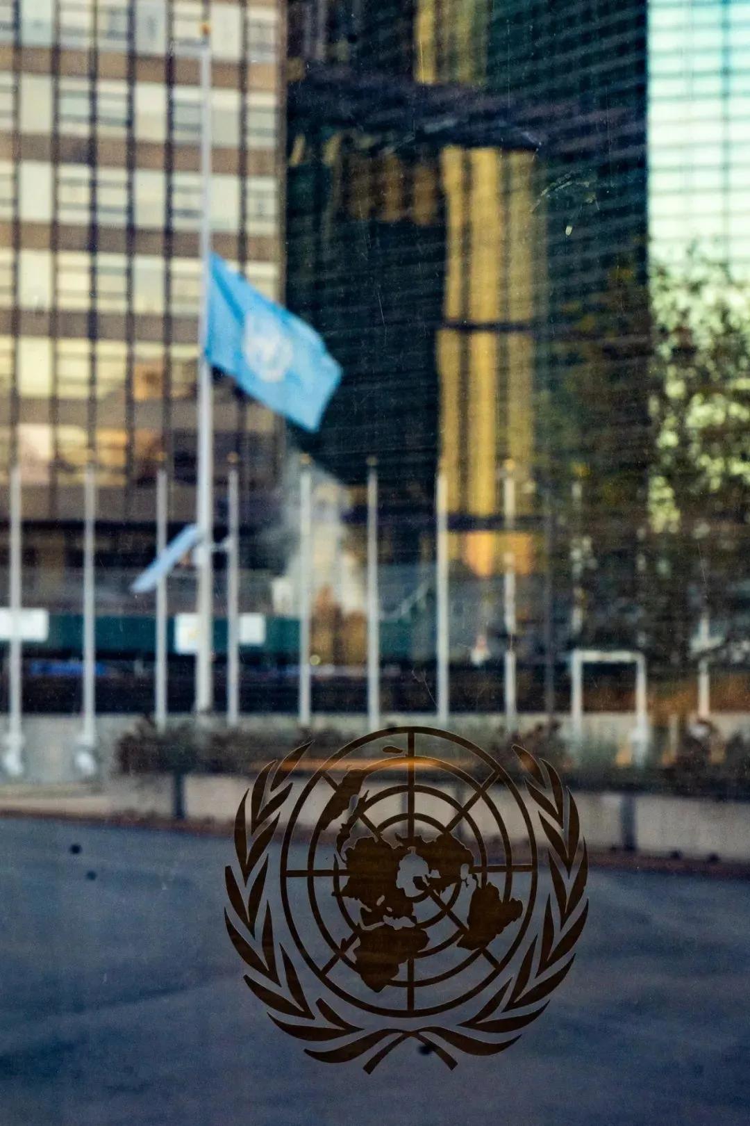 这是联合国官发的稿件：从繁忙喧嚣的纽约市到偏远静谧的肯尼亚首都内罗毕卡鲁拉森林，
