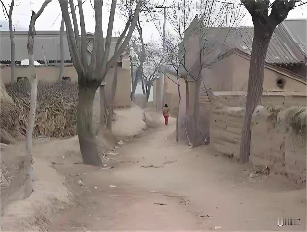 人老了，如果你心中常有一个魂牵梦绕的故乡，最好不要回去看。
现在的村子，已不是我