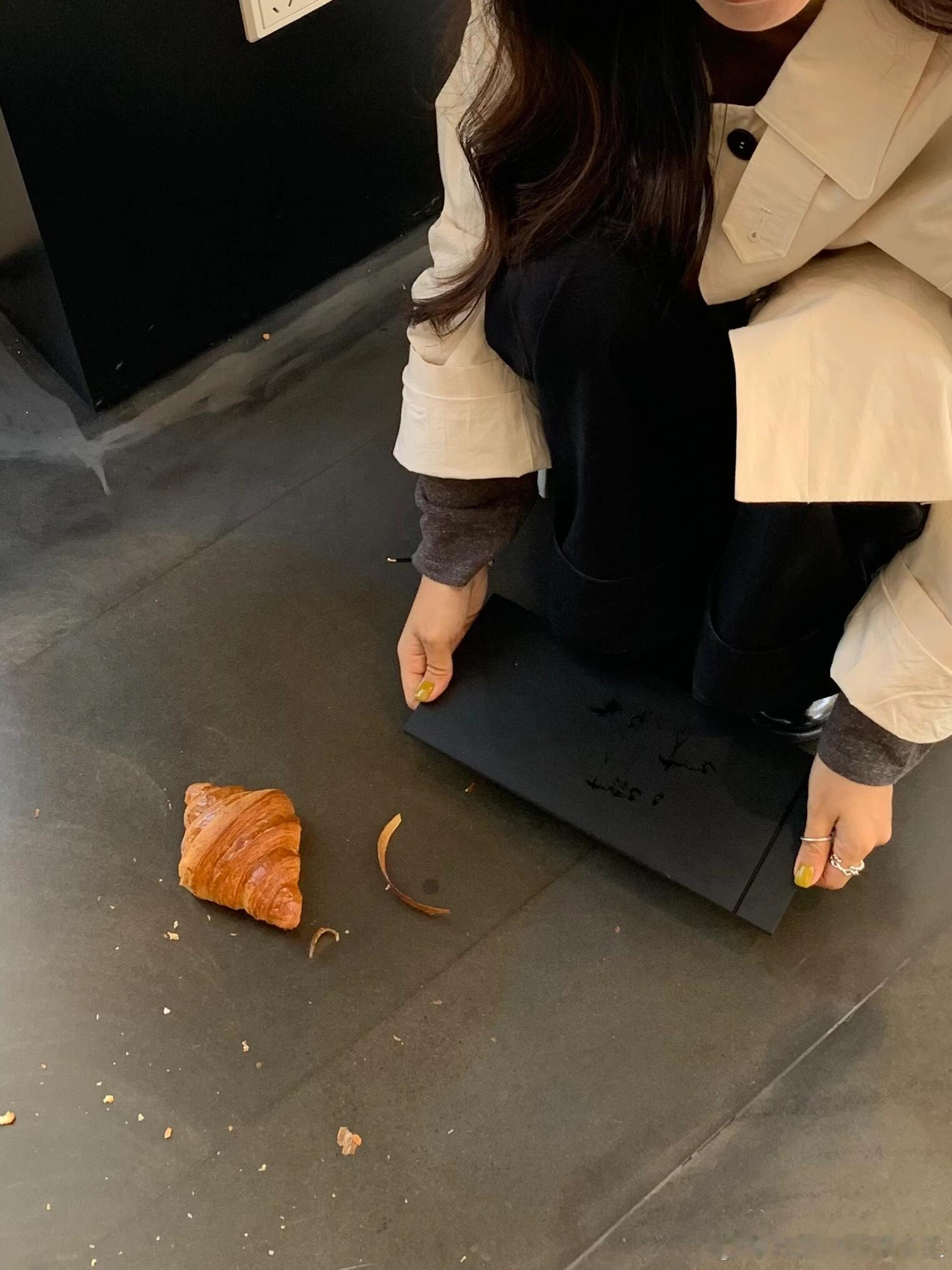 人怎么这么会捅篓子🥐一只可颂的前一秒与下一秒 