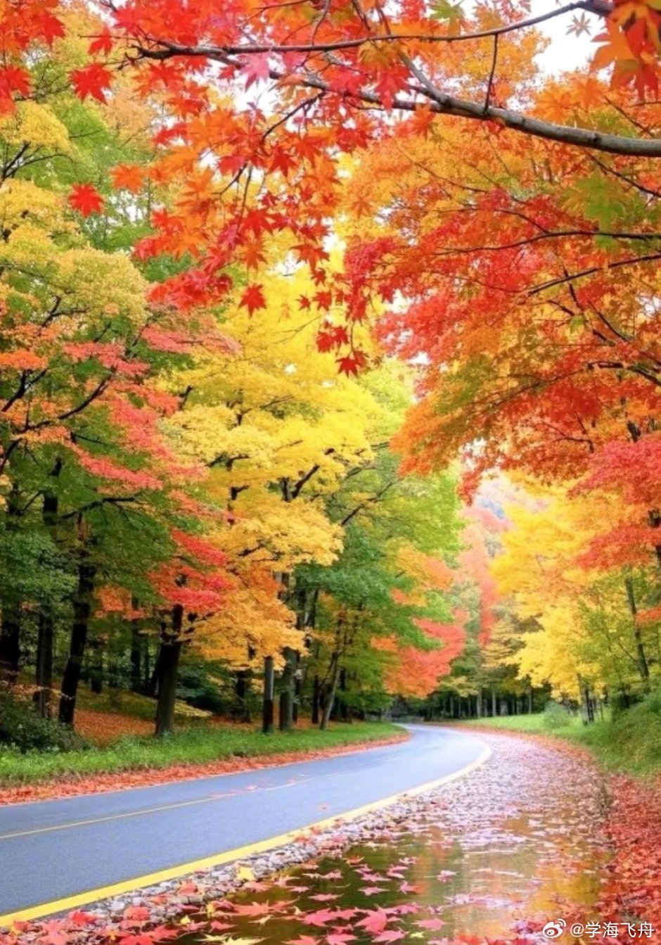 今天A股大盘走势比昨天要好:   东方财富App显示的10项指数除北证50和上证