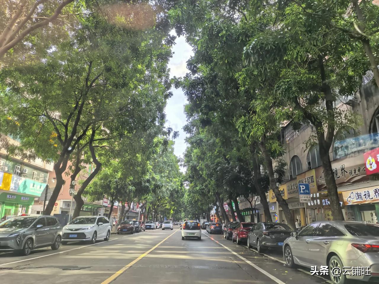 今天重走江华路，一路的绿荫藏着旧时光。
    再次漫步江门的江华路，盛夏的燥热