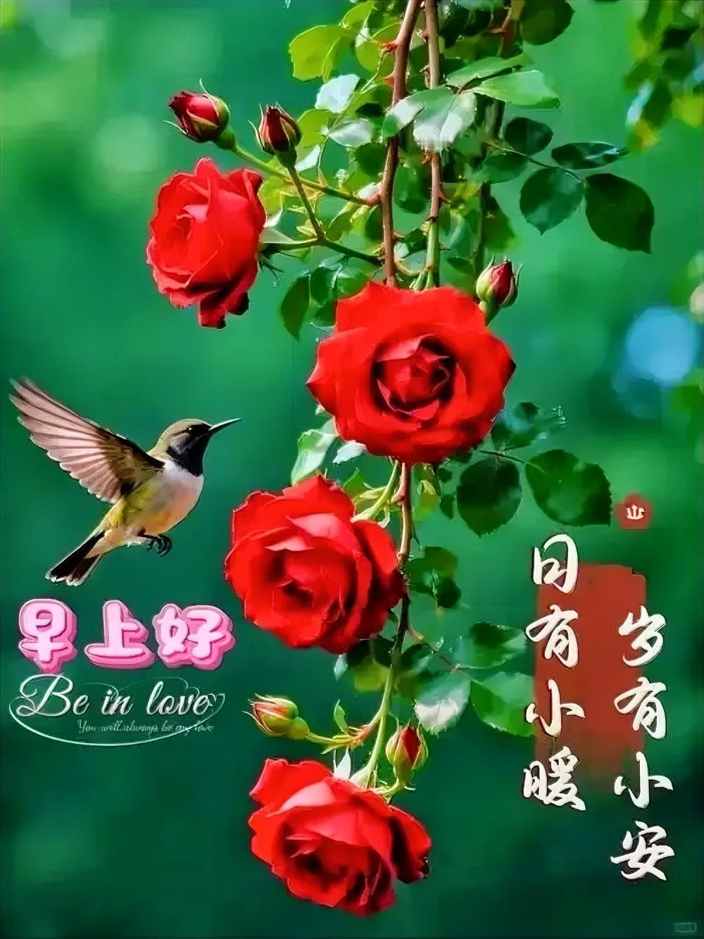 愿你眼含星辰，心拥山海，以梦为马，开启崭新一天。生活恰似拼图，纵使昨日碎片杂乱无