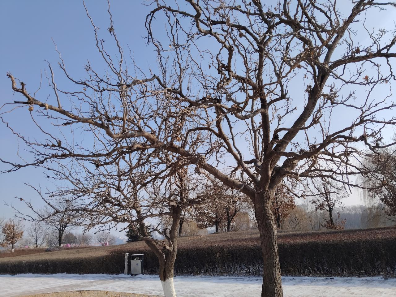 刚刚阅读了苗京京的头条，她一个人散步，突然像一个孩子一样放飞自我，用脚踢着一个瓶