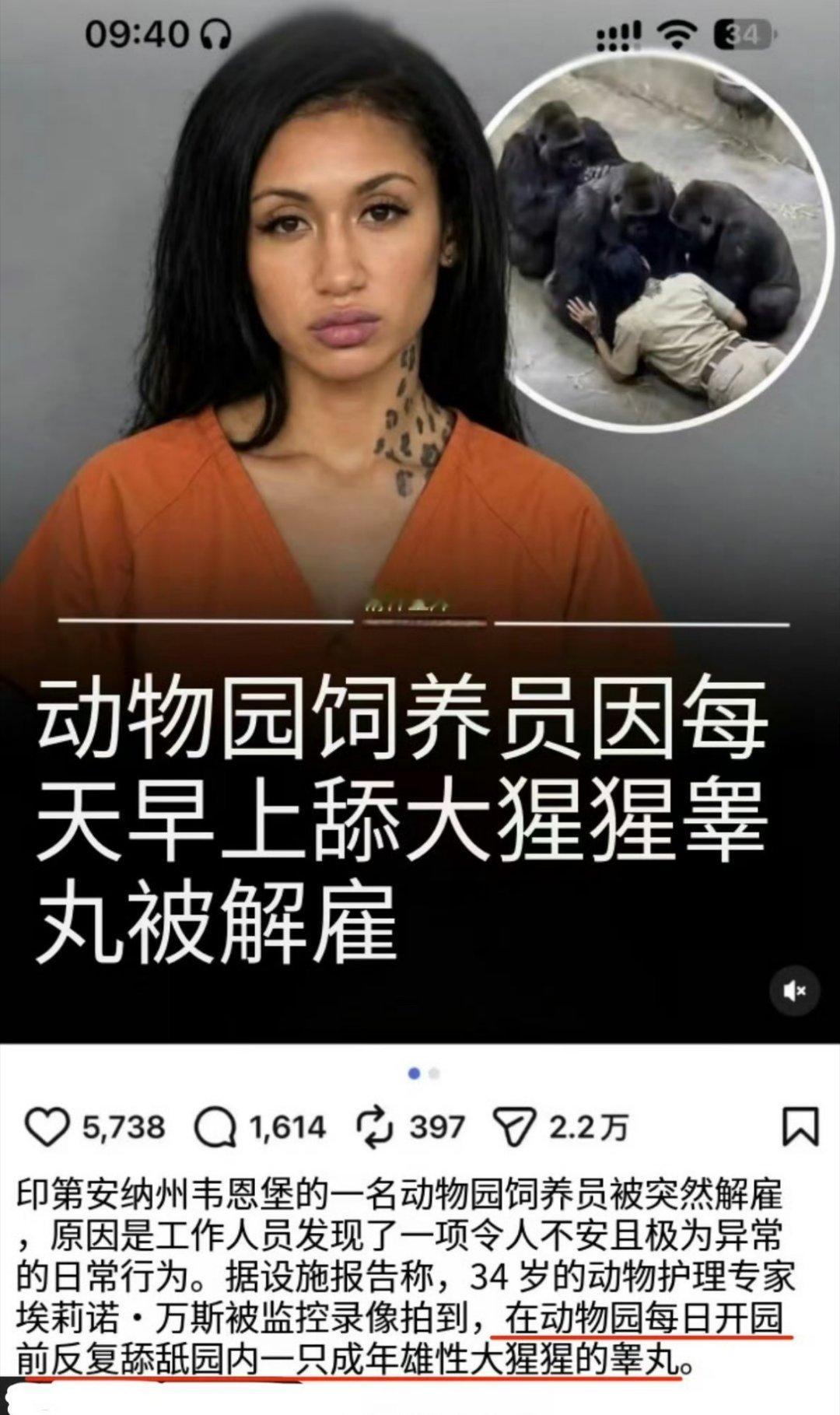 美国一动物饲养员因每天早上舔大猩猩的睾丸被解雇……[费解]海外新鲜事 ​​​