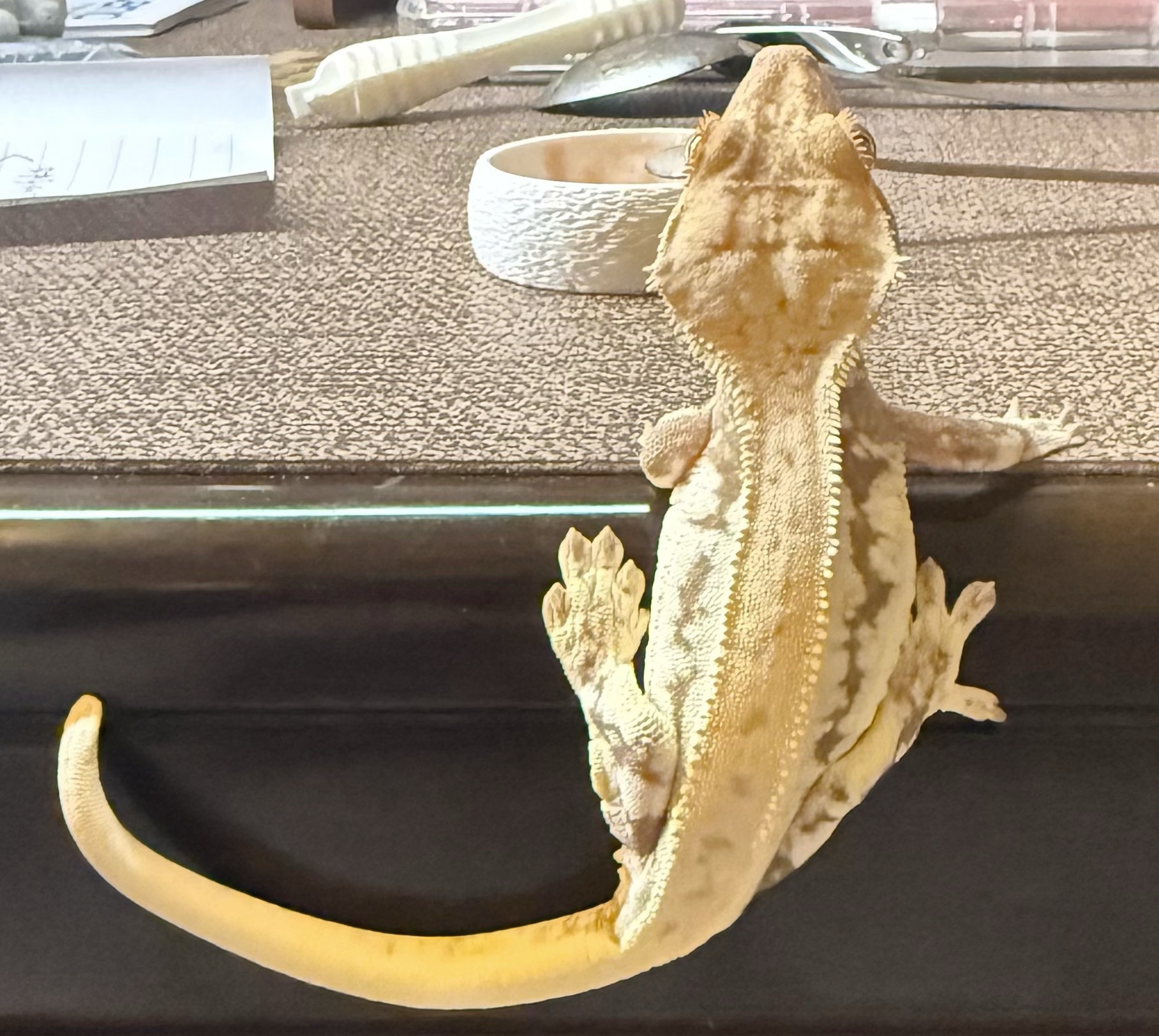 有噎到这种程度？ 