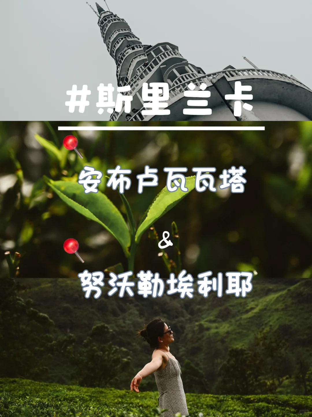 斯里兰卡｜安布卢瓦塔&努沃勒埃利耶