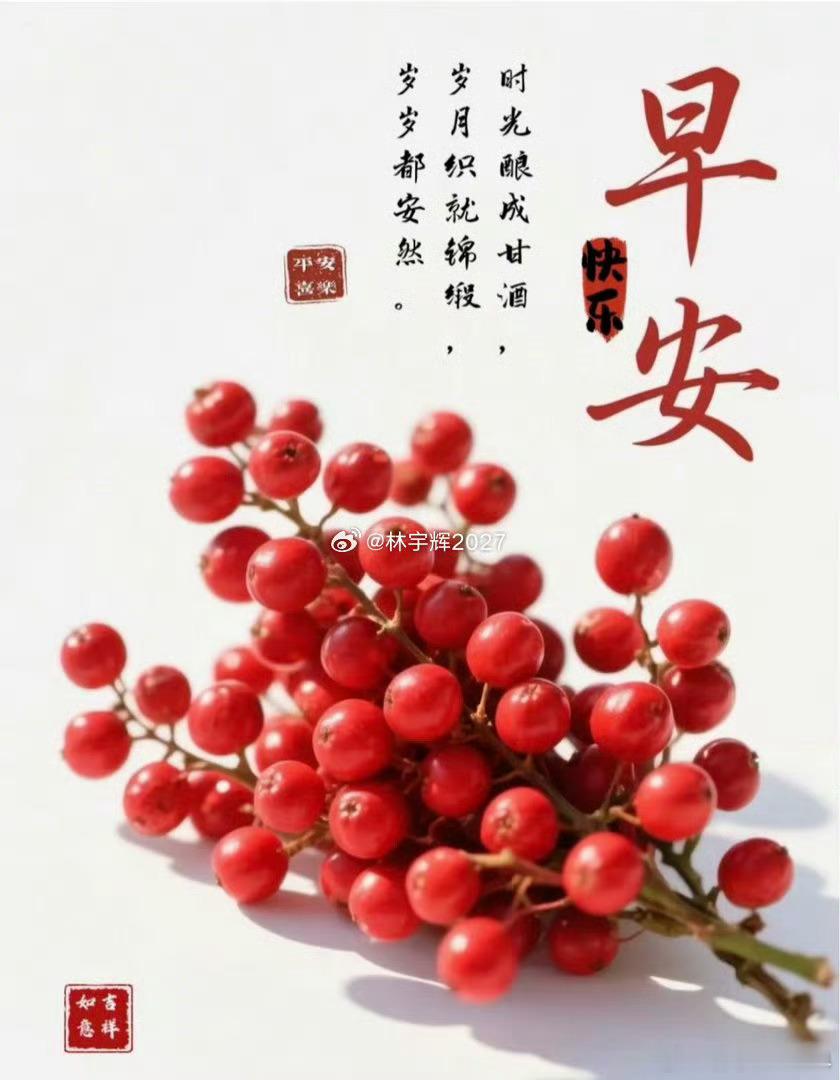 今天周四，大家早上好！全体集合了～～～起床的赶紧动起来，免费点赞+评论666安排