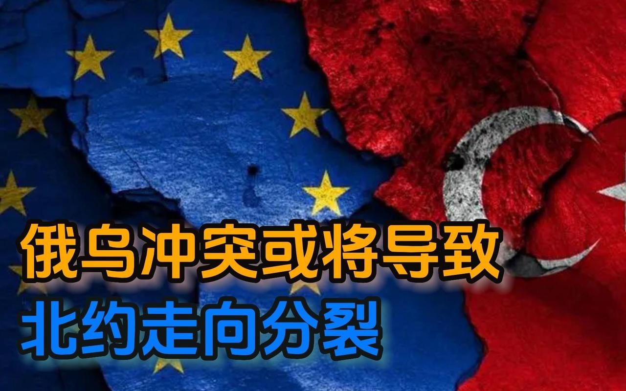 纵观国际：
       北约没有美国不成“气候”
             首
