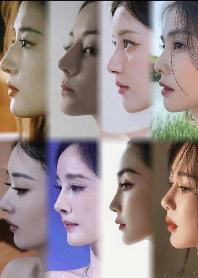 这么多女明星好看的鼻子，董洁一出现，全部黯然失色 