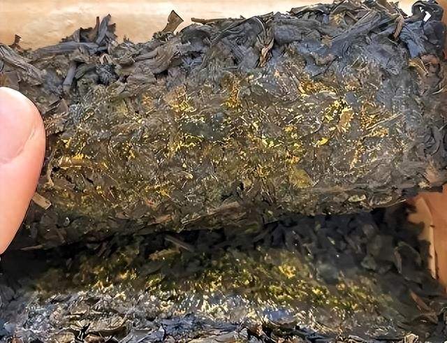 38岁老板娘成为陪睡工具：揭开黑茶高端骗局，入局者10个有9离婚